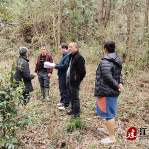 江华码市镇：跨省调纠 维护省际边界安全