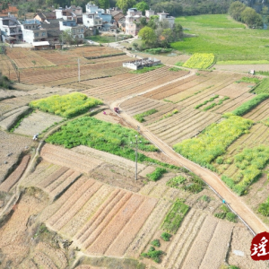 江华：修建机耕道助力乡村振兴
