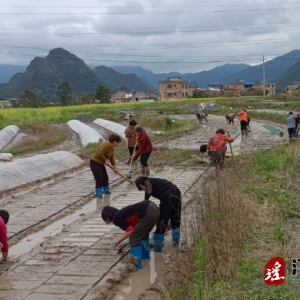 江华水口镇：春耕生产忙 不负好时光