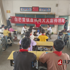 江华白芒营镇：森林防火宣传进校园