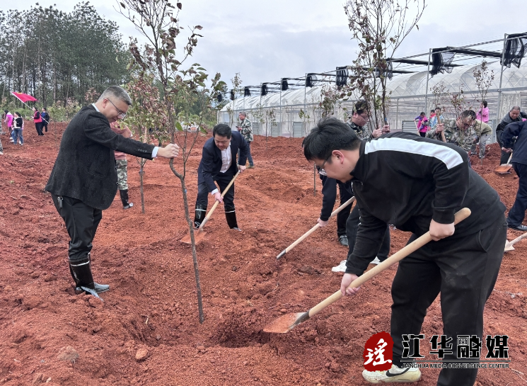 微信截图_20240326173246.png