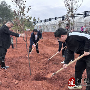 江华沱江镇：党旗飘扬风帆劲，植树添绿践初心