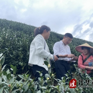 江华人大：大力推动产业和村级集体经济发展