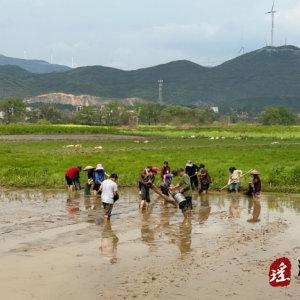 江华沱江镇：春耕正当时 播种育秧忙