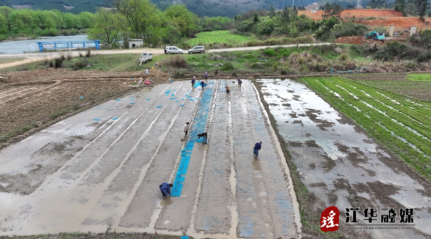 微信截图_20240328091719.png