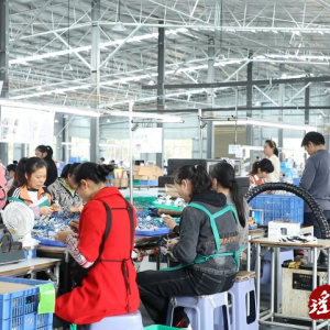锐毅马达：扩产增线赶制订单 向产业链顶端迈进