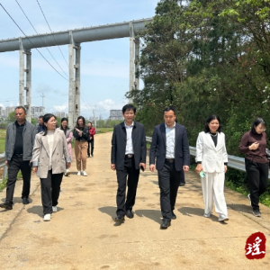 永州市人大调研组到江华沱江镇调研春耕生产工作
