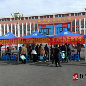 江华人社局组织开展“12333全国统一咨询日活动”