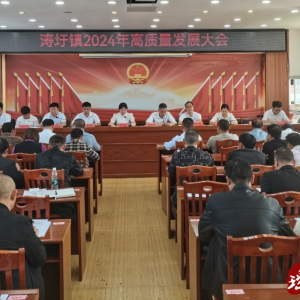 江华涛圩镇召开高质量发展大会