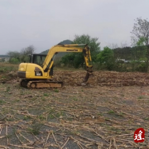江华大路铺镇：整治耕地“非粮化” 全力保障春耕备耕