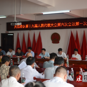 江华大石桥乡：召开第十九届人民代表大会第六次会议