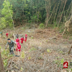 以“演”筑防、以“练”备战，湘江乡扎实开展森林火灾扑救实操演练