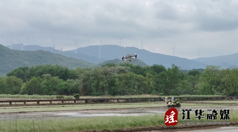 微信截图_20240409153103.png