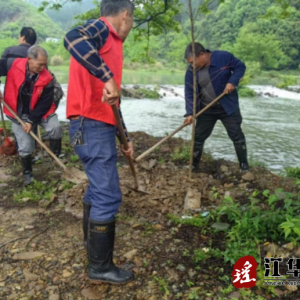 江华涛圩镇水头村开展植树植绿活动
