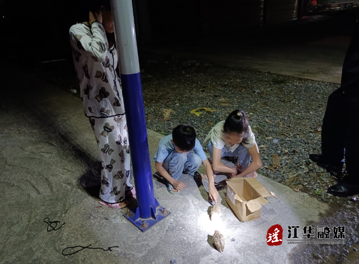 微信截图_20240403144030.png