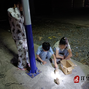 江华森林公安局：瑶都市民好素质 上交野鸟受表扬