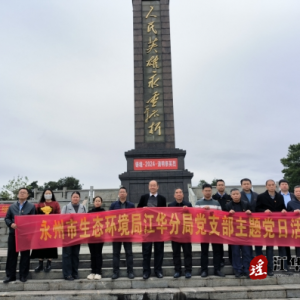 市生态环境局江华分局党支部开展清明祭扫主题党日活动