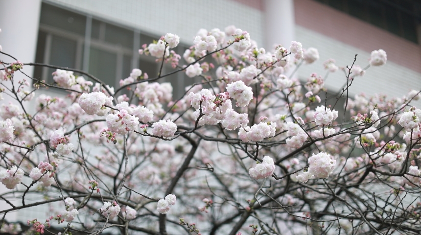微信截图_20240402151706.png