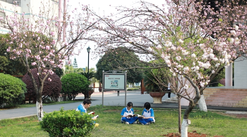 微信截图_20240402151735.png