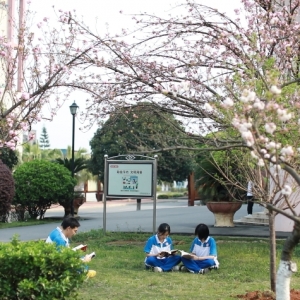 江华一中：樱花初绽放 校园春意浓