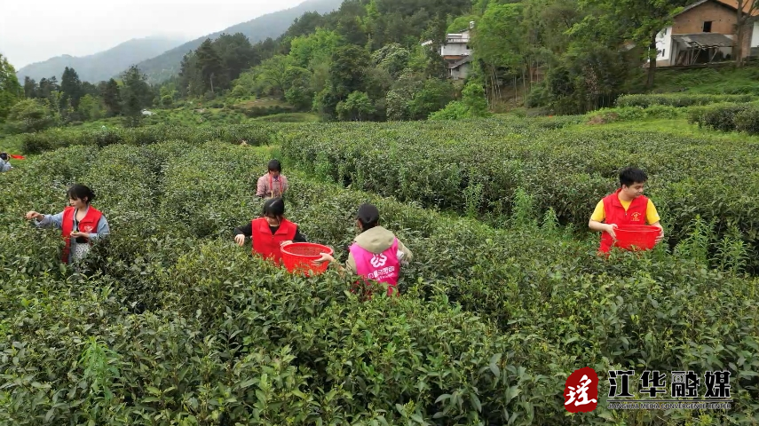 微信截图_20240412114730.png