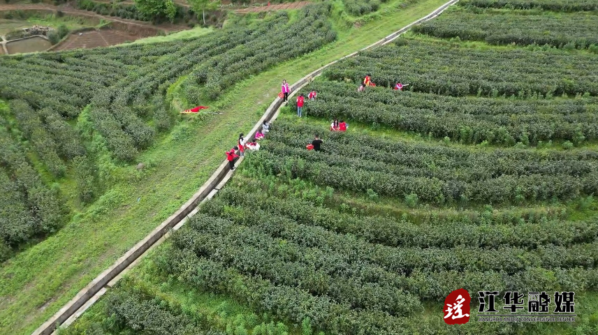 微信截图_20240412114720.png