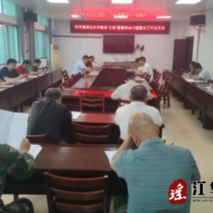 江华码市镇召开化农村集体“三资”管理突出问题整治工作动员会