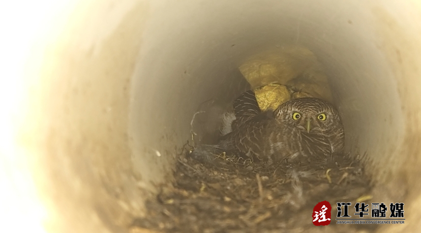 微信截图_20240415094647.png