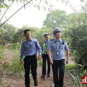 江华：猫头鹰民宅安家警力协作齐救助