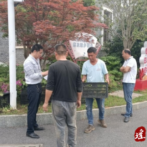 江华涔天河镇：发放“蚜茧蜂”护航烤烟生产