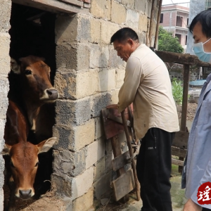 江华：抢抓春防关键期 筑牢畜禽养殖“安全网”