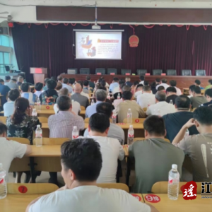 江华码市镇组织开展“贯彻落实保密法 你我都是护密人”宣传教育活动