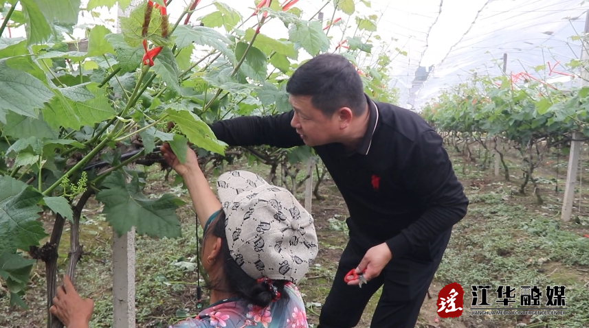 微信截图_20240417091743.png
