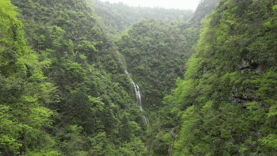 DJI_0168[00-00-11--00-00-15].gif