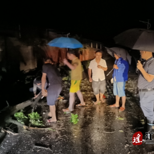 江华大路铺镇：深夜疾风树吹倒 应急队员速清障