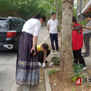 江华涔天河镇：白蚁防治保安全