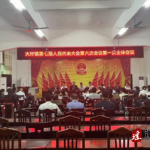 江华大圩镇第七届人民代表大会第六次集会会议顺遂召开