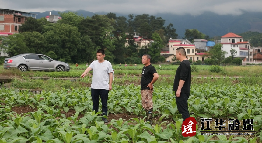 微信截图_20240424090246.png