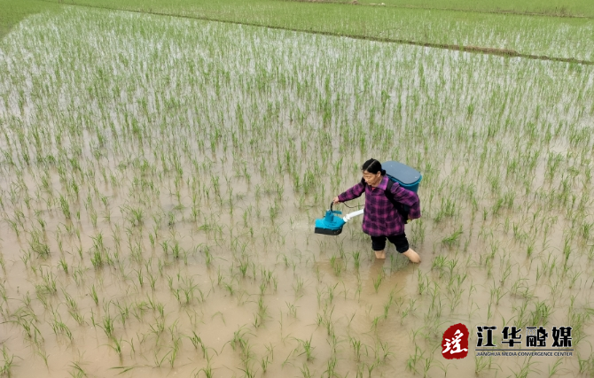 微信截图_20240425103228.png