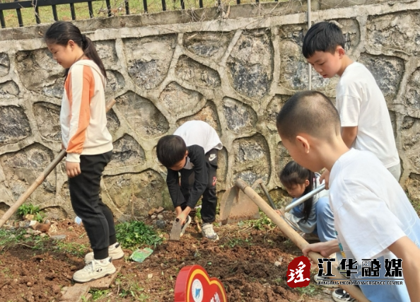 微信截图_20240425150441.png