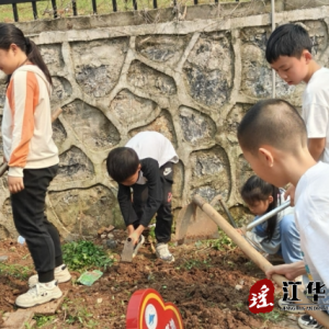 江华涔天河镇东田完全小学：劳动基地莳植忙 播种盼望向将来