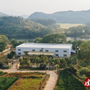 江华：新质引领 推动茶财产上“新”