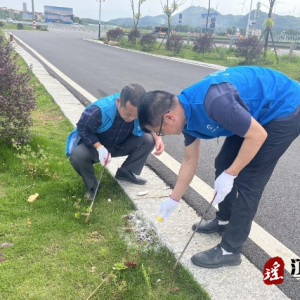 江华水利局：杀灭红火蚁 保卫河湖寂静