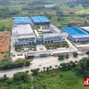 江华：知识产权质押融资 为企业生长注入新动力