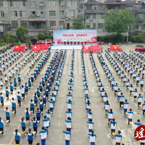 江华举行2024年离队入团树模仪式