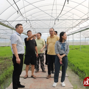 何开银深入河路口镇督导农业生产和防汛备汛变乱