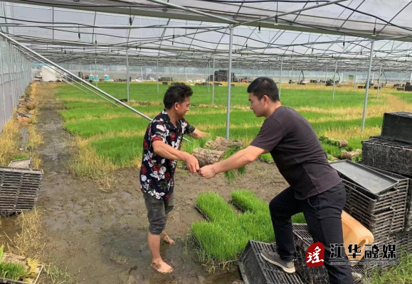 微信截图_20240508100444.png