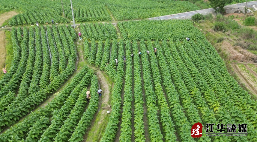 微信截图_20240510090612.png