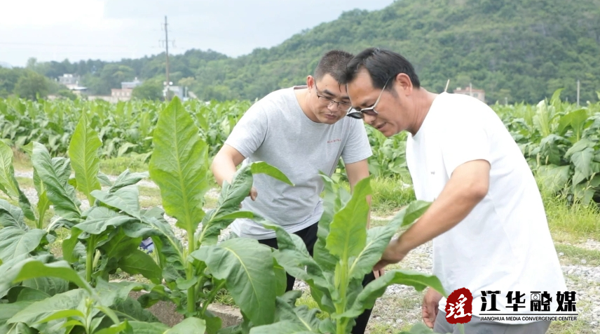 微信截图_20240510090721.png