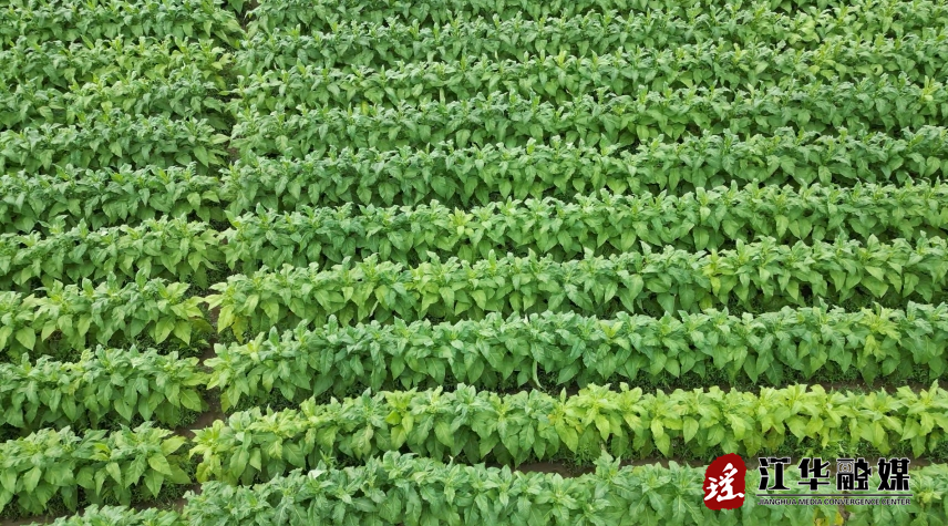 微信截图_20240510090804.png